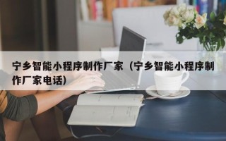台州宁乡智能小程序制作厂家（宁乡智能小程序制作厂家电话）