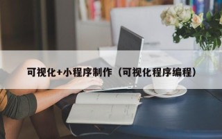 台州可视化+小程序制作（可视化程序编程）
